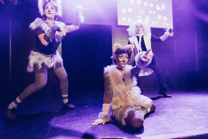 Other Cats production image 1