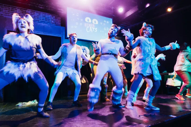 Other Cats production image 4